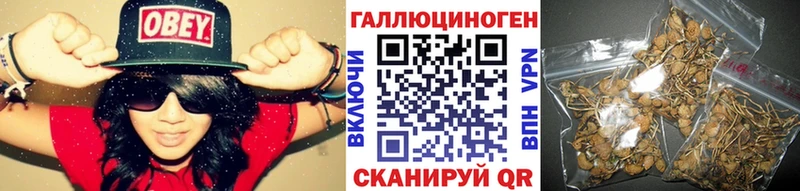 Галлюциногенные грибы Psilocybine cubensis Нижняя Салда